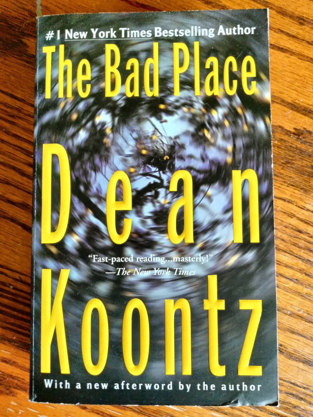 The Bad Place, Paperback by Den Koontz